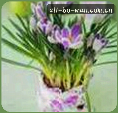 王芳
